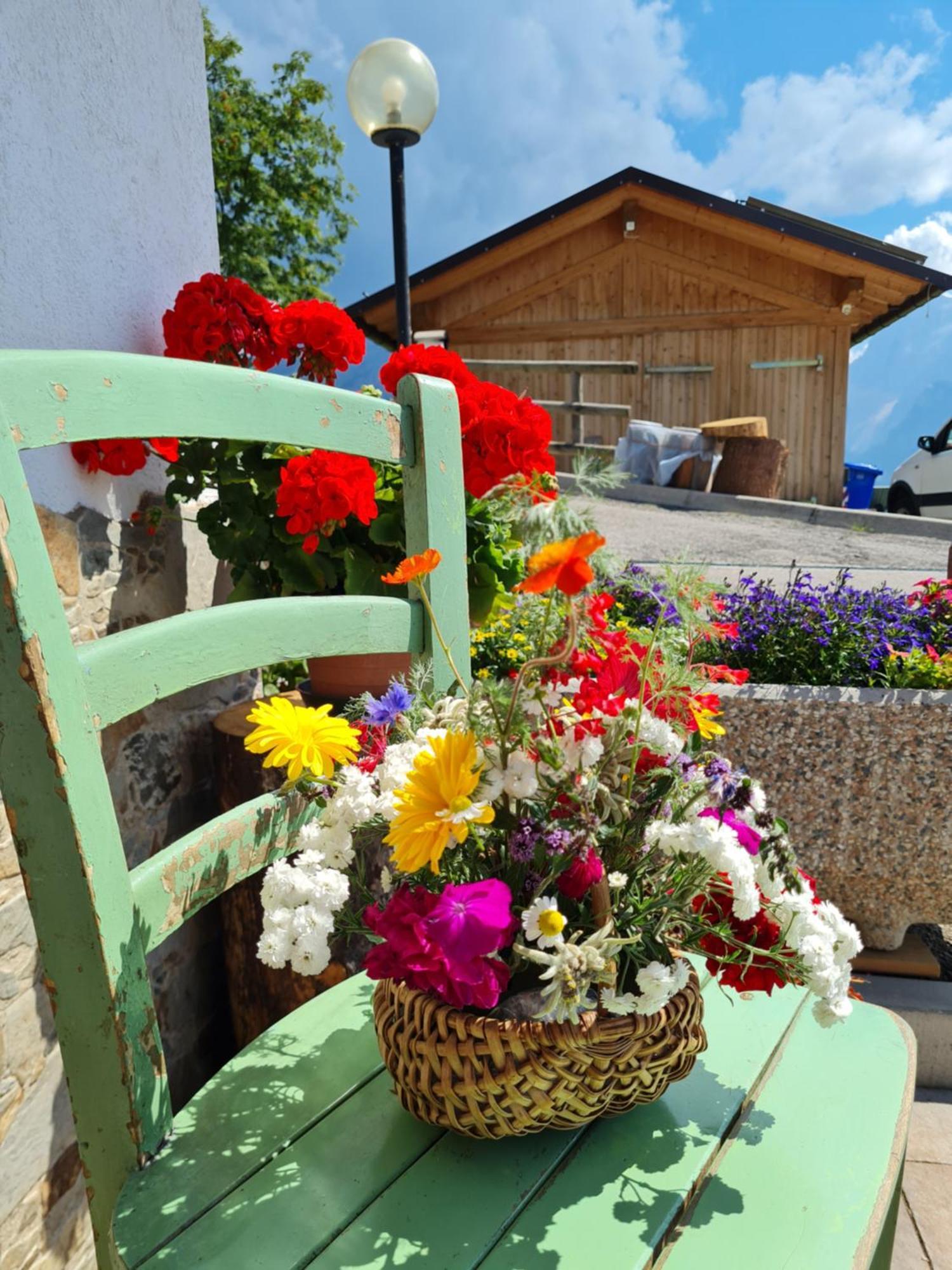 Piccola Suite Sul Civetta Колле-Санта-Лучія Екстер'єр фото